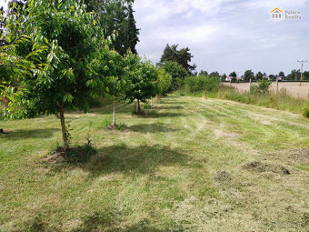 Prodej zahrady 600 m2 - HK, Svinary - 2