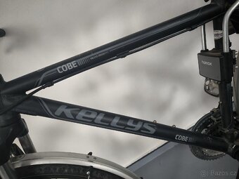 Kellys cobe - 2
