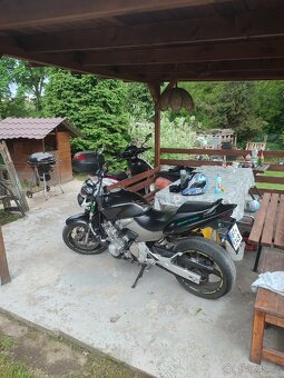 Honda Hornet 600 - 2