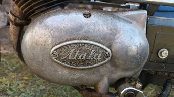 Atala Rizzato Babetta - 2