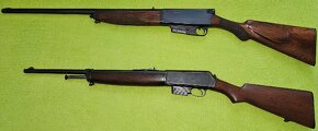 Winchester 1910 a Clement-Neumann 1910 - .401 WSL - 2