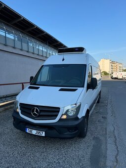Pronájem mrazáku MB Sprinter 313cdi - 2