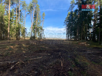 Prodej lesa, 7764 m², Újezdec - 2