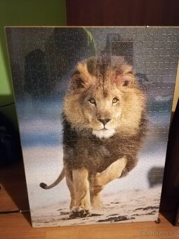 Obrázy vlk a lev - 2