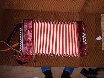 Harmonika Delicia Popular CF - 2