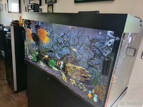 Prodám téměř nové akvárium JUWEL 350l - 2