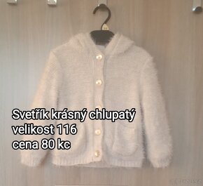 Mikina - 2