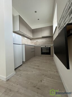 Pronájem bytu 1+1, 35 m2 - Ostrava - Vítkovice, ev.č. 00795 - 2