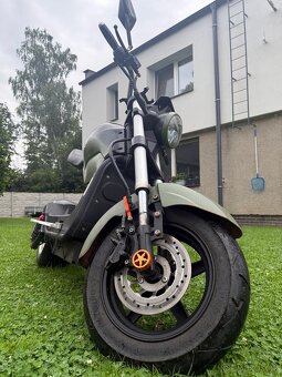 Koloběžka EcoWheel gr25 - 2