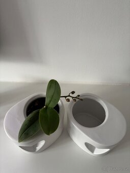 Keramický květináč srdíčko 2 kusy - 2