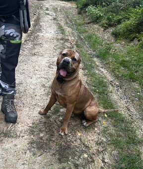 schanim fenu ke kryti - 2