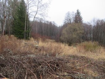 Pozemek v k. ú. Křivce a Řešín (Bezdružice) - 2