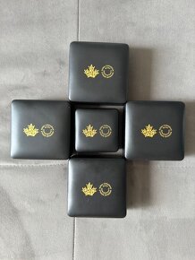 Sada stříbrných mincí série Tanačící Diamant Ag proof RRR - 2