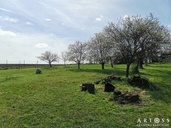 Prodej velké zahrady s chatkou, celkem 2 257 m2 - Ponětovice - 2