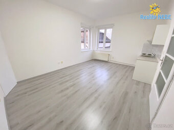 Pronájem bytu 1+kk, 25m2, Na Úlehli Praha 4 Kačerov - 2