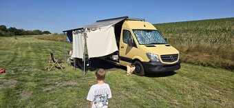 Mercedes Benz Sprinter 316 CDI Automat - 2