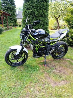 Kawasaki Z 125 Z125 - 2