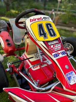 Kart Birel Easykart 60cc - 2