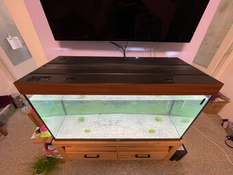 Juwel Rio aquarium 300 +filtrace+topitko - 2