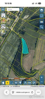 🌲 Prodej lesa se 2 chatami – Vykyřovice u Šumperka - 2