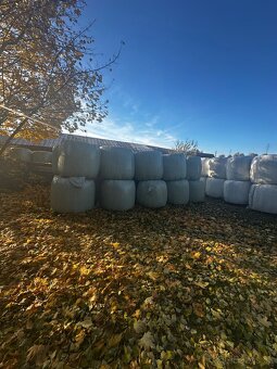 jetelotravní senáž - 2