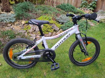 Author Record 16 - 2