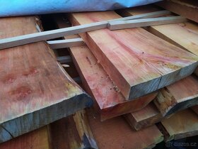 Fošny olše lepkavá - 2