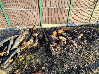 Palivové dřevo - 2