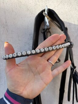 Anglická uzdečka - 2