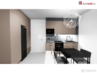 Nový světlá byt 1+kk, 30,15 m2, 3np, / 2 p. OV, novostavba, - 2