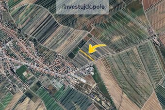 Prodej vinice v k.ú. Šardice - 2