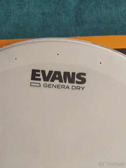 Evans 14" Genera Dry Coated Snare - 2
