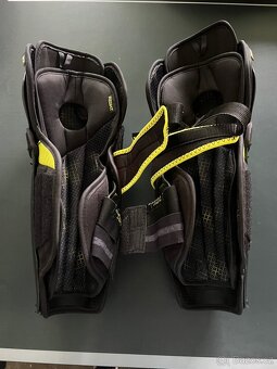 Holene ccm XF - 2