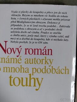 Roman Touha od Ivy Hercíkové - 2