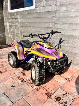 Čtyřkolka Dětská 50ccm 4t Rascal eton - 2