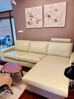 Kožená sedačka - 2