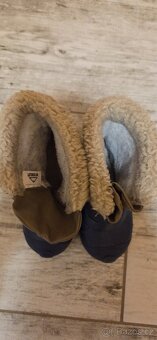 Sněhule McKinley - 2