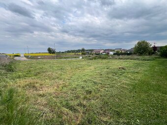 Prodej pozemku Dražkovice - 2