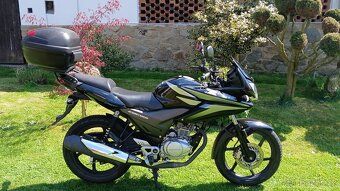 Honda CBF 125 - 2