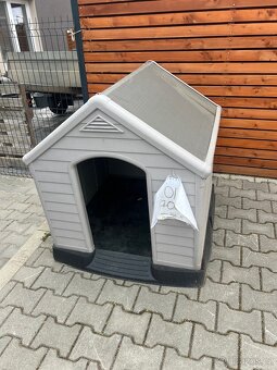 Psi bouda úplně nova - 2