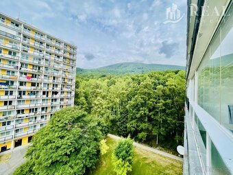 Prodej, byt 3+1, 80 m2, DV, Osek, ul. Hrdlovská - 2