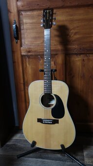 Prodám kytaru C.G.Winner W-710 - 2