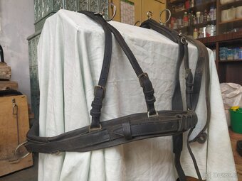 Poprsní postroje na pár - 2