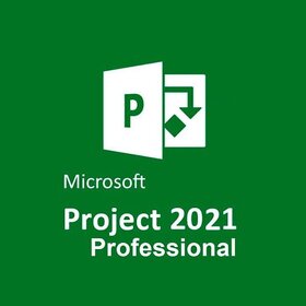 Microsoft Project 2021 Professional - 2
