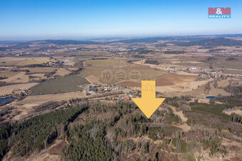Prodej lesa, 7371 m², Mileč, okres Plzeň-jih - 2