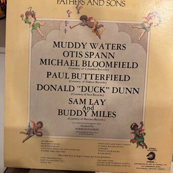 MUDDY WATERS - Fathers And Sons. LP - 2