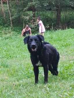 Daruji do dobrych rukou - 2