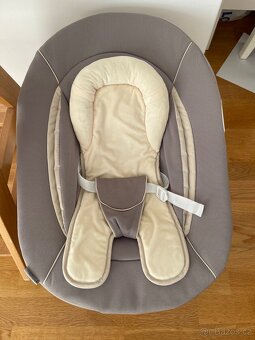 Hauck Alpha Plus Newborn Set - 2