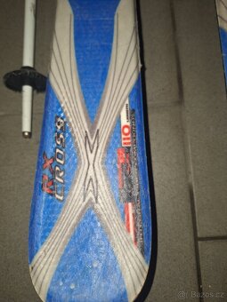 Lyže Bizzart 110cm - 2