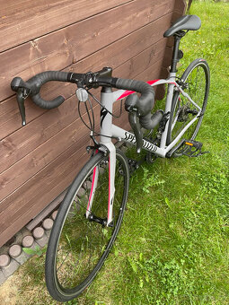 Prodám kolo Specialized Dolce 2019 - 2